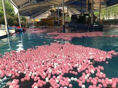 -郑州方特水上乐园