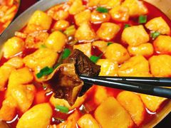 -金锅小厨(乐活街店)