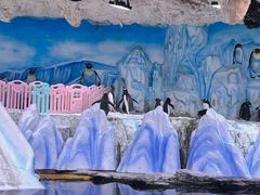 -海合安青岛极地海洋公园