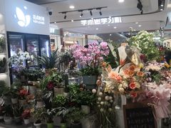 -巴黎春天(浦建店)