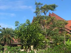 -西双版纳融创皇冠假日度假酒店