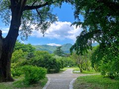 -国家植物园南园