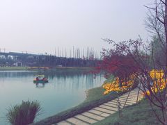 -秀丽东方