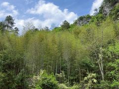 -黄山翡翠谷景区