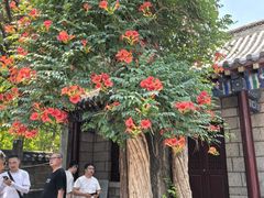 -青岛崂山太清宫