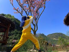 -高荡千年布依古寨旅游景区