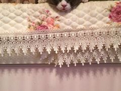 iphone_upload_pic-Bastet sally猫舍购宠(静安店)