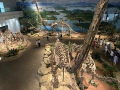 -自贡恐龙博物馆