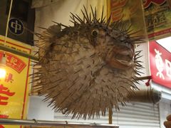 -大澳渔村及棚屋