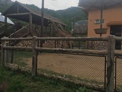 -青岛森林野生动物世界