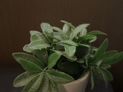 -润生源足道·SPA(个园店)