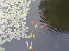 -合肥野生动物园