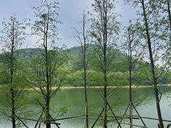 -水濂山森林公园