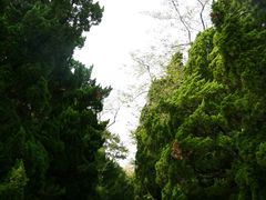 -八大关景区