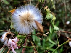 -上海浦江郊野公园-4号停车场