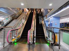 -大龙山(地铁站)