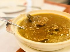 葡式咖喱崩沙牛腩-番茄屋葡式美食(总店)