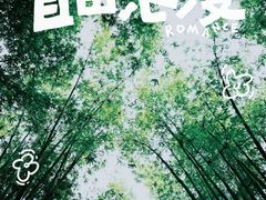 -川西竹海景区