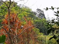 -云溪植物园