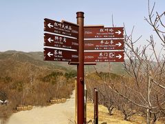 -北京西山国家森林公园