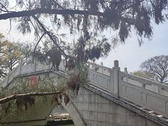-东涌水乡风情街