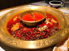 -哥老官重庆美蛙鱼头(日月光店)