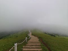 -大姆山草场