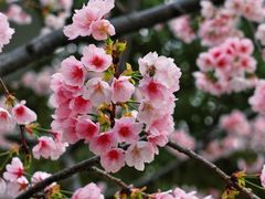 -静安雕塑公园