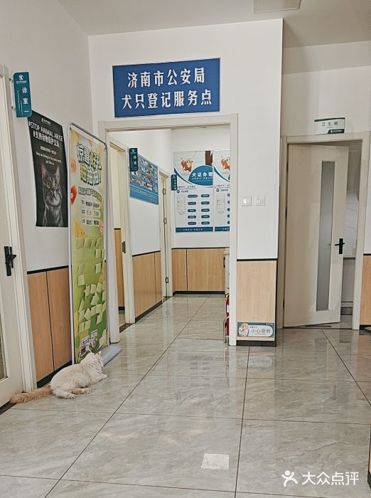 瑞派雷欧宠物医院·24h夜诊·心脏骨科牙科·全科重症转诊中心(无影山店)图片