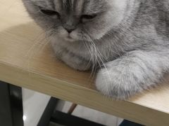 -Oasis绿洲银饰珍珠手作diy(壹方城店)