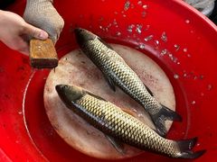 -万州烤鱼江湖菜(圣地阳光店)