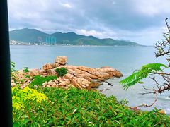 -100蛋泥浆浴