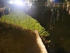 -成都市活水公园