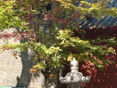 -护国法轮寺