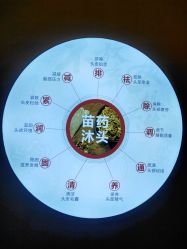 -岳灵生发养发馆