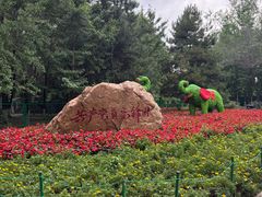 -长白岛森林公园