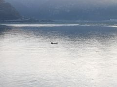 -北岐滩涂