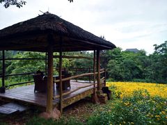 -保利石象湖景区
