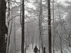 -崂山巨峰游览区