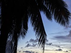 -日落吧·海景咖啡厅·餐酒吧·鸡尾酒·下午茶·乐队表演·浪漫夕阳·三亚文华东方酒店