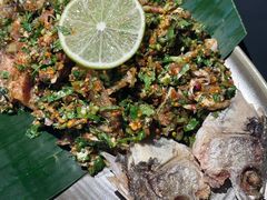 洱海手撕海鲈鱼-Ameigo梅果·云贵川bistro(长宁来福士店)