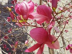 -东华门大街小区