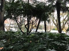 -华山儿童公园