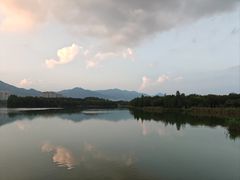 -飞来湖湿地公园