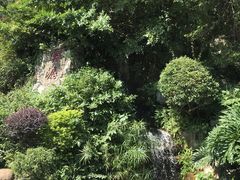 -广州市白云山风景名胜区