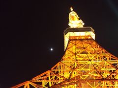 -东京塔海贼王主题公园