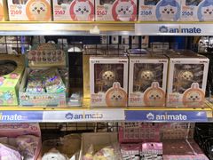 -Animate(工人体育场东路店)