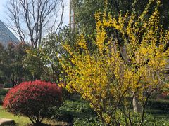 -天鹅湖体育公园