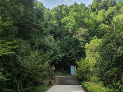 -上海佘山国家森林公园天马山园