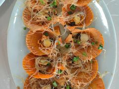 -巽寮湾海鲜批发码头